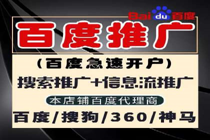 某公司通过百度竞价实现业务快速增长的案例